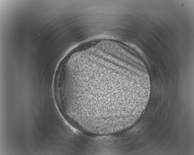 X0000066530902200604141836