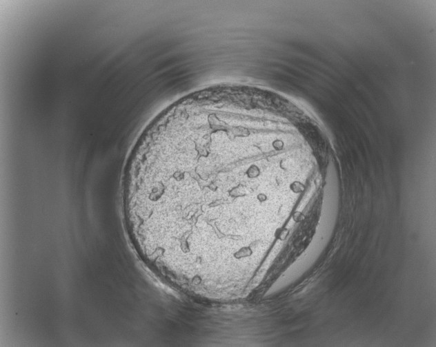 X0000066530903200604141836