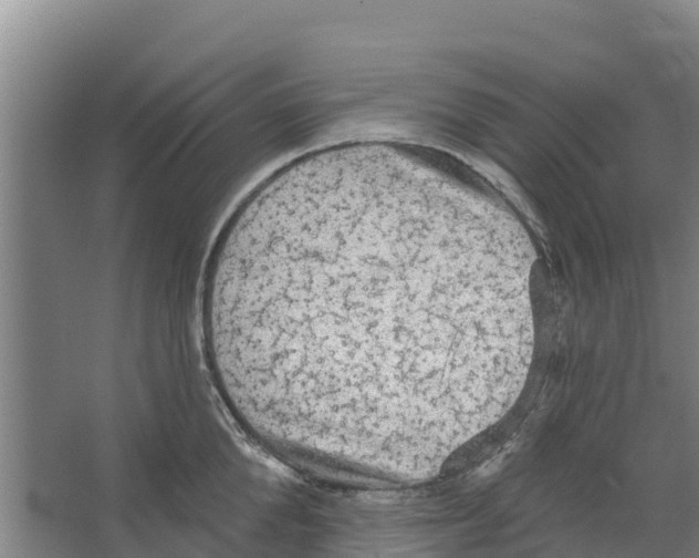 X0000066530904200604141836