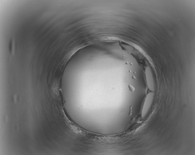 X0000066530905200604141836