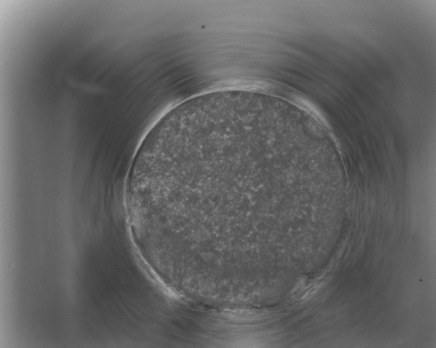 X0000066530907200604141836