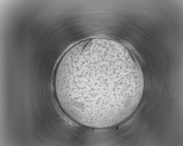 X0000066530908200604141836