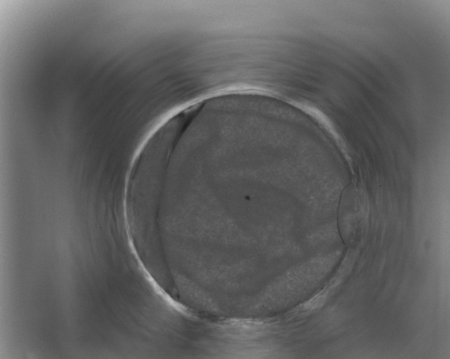 X0000066530910200604141836