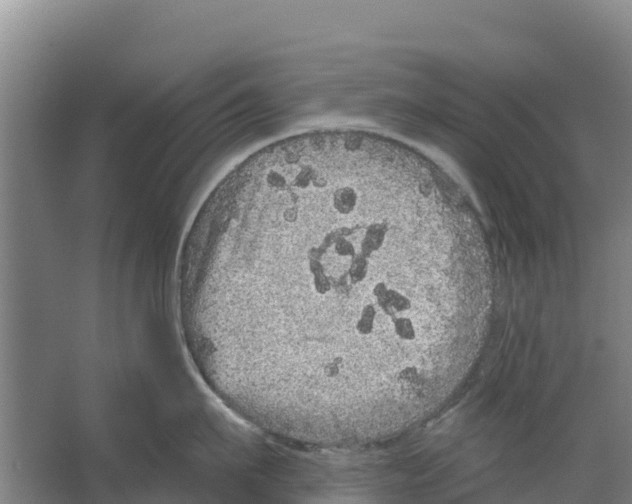 X0000066530911200604141836