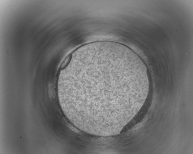 X0000066530912200604141836