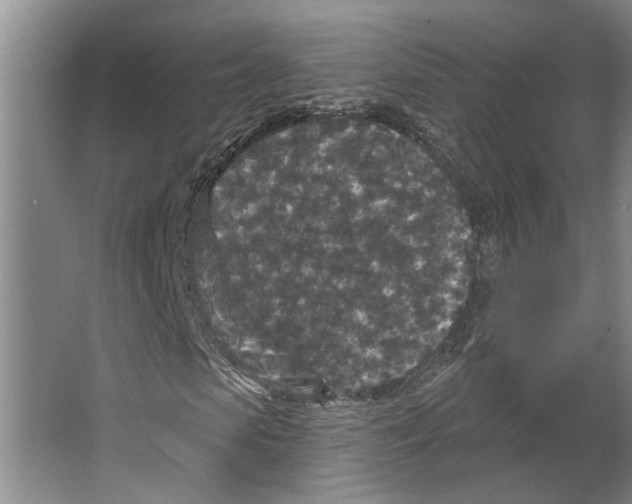 X0000066530913200604141835