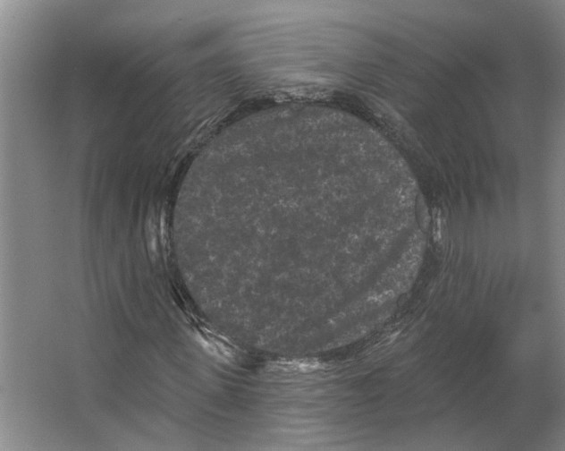 X0000066530915200604141835