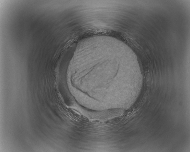 X0000066530916200604141836