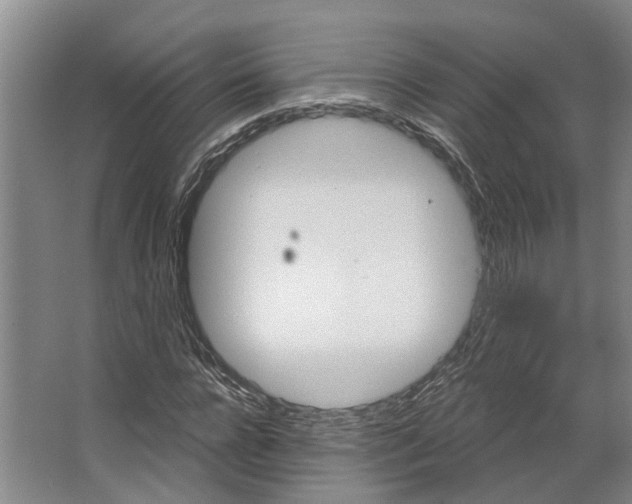 X0000066530920200604141836