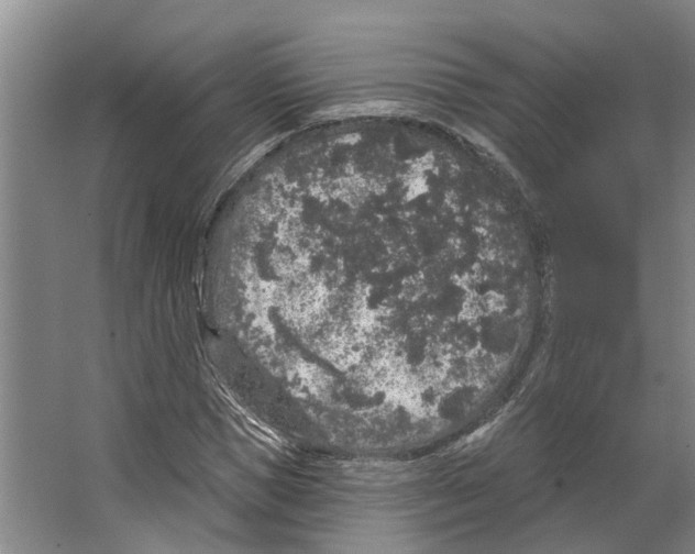 X0000066530921200604141836