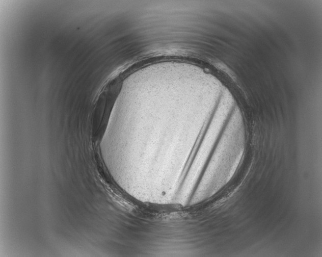 X0000066530922200604141836