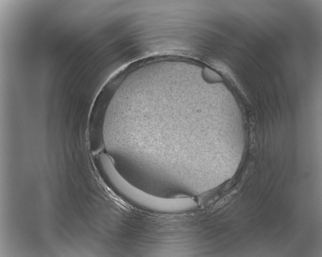 X0000066530924200604141836