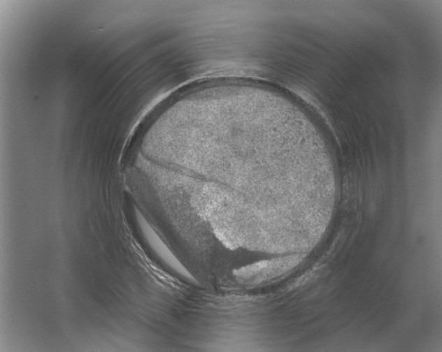 X0000066530925200604141836