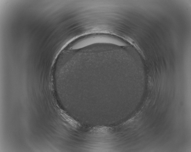 X0000066530926200604141836