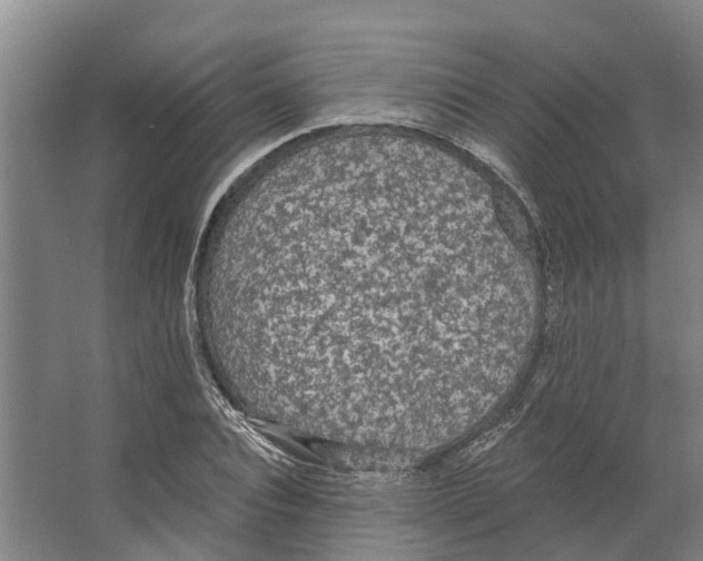 X0000066530928200604141836