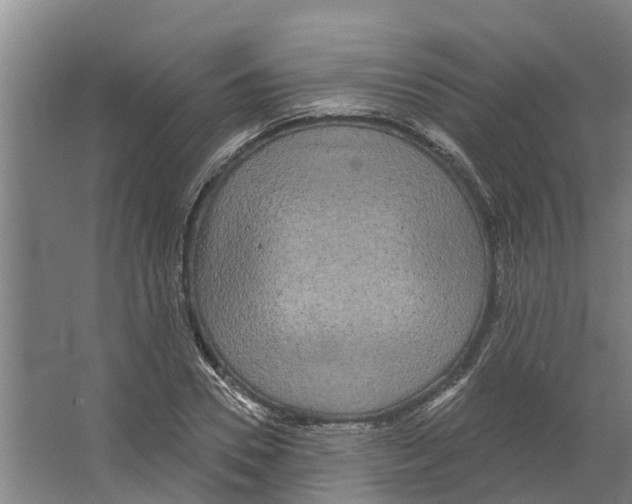 X0000066530930200604141836