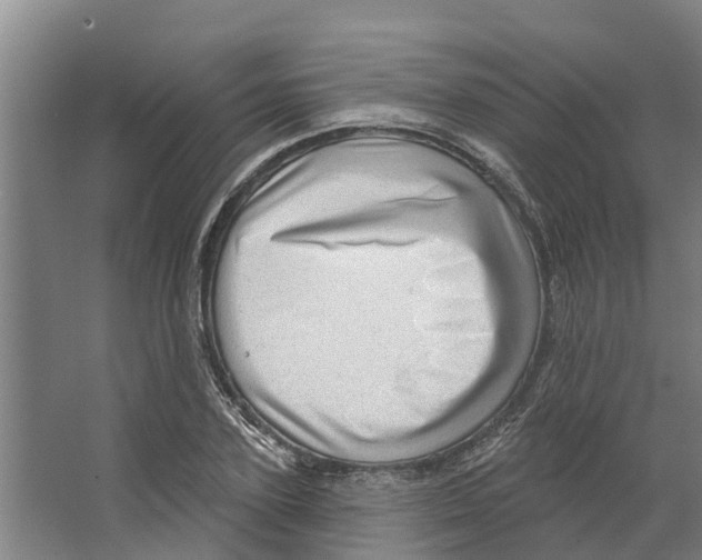 X0000066530931200604141836