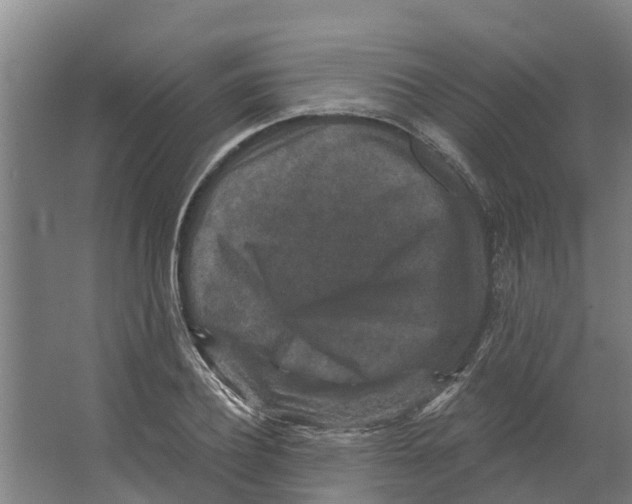 X0000066530932200604141836