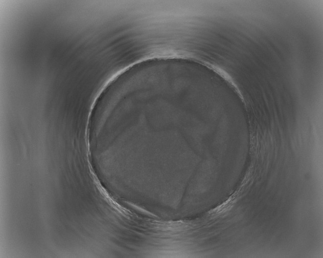 X0000066530935200604141836