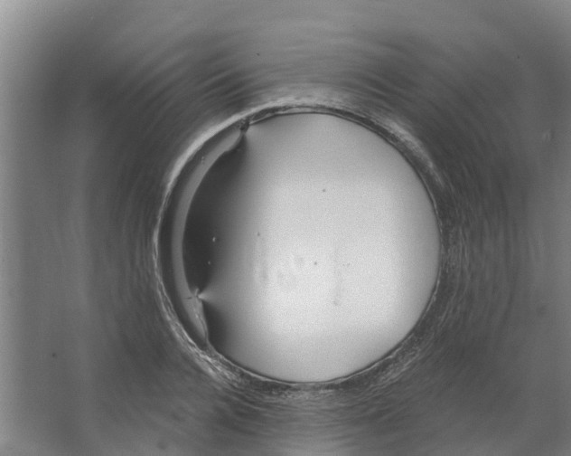 X0000066530936200604141836