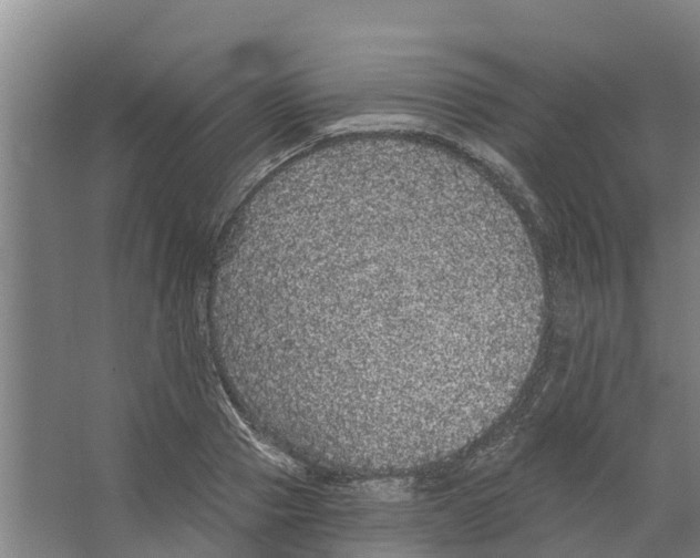 X0000066530937200604141836