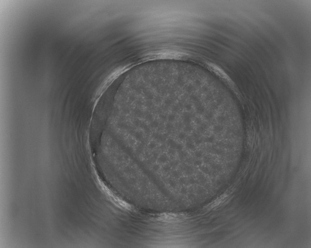 X0000066530938200604141836