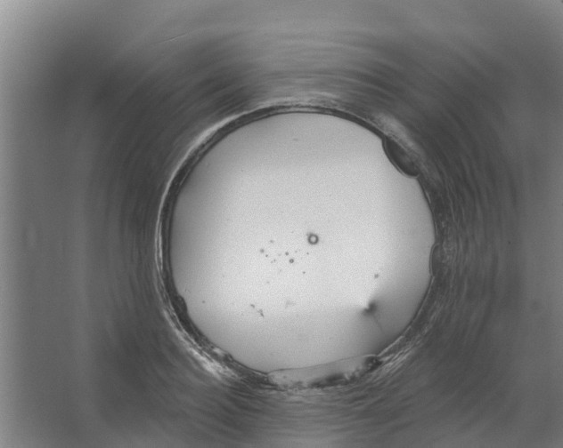 X0000066530940200604141836