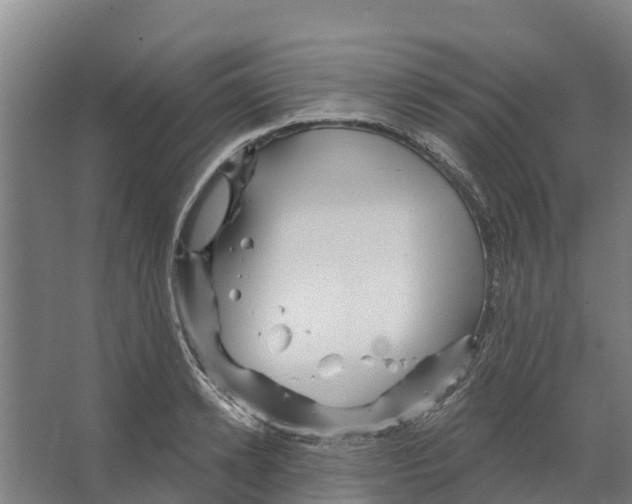 X0000066530942200604141836