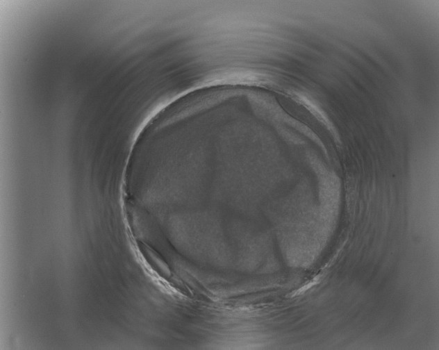 X0000066530944200604141836