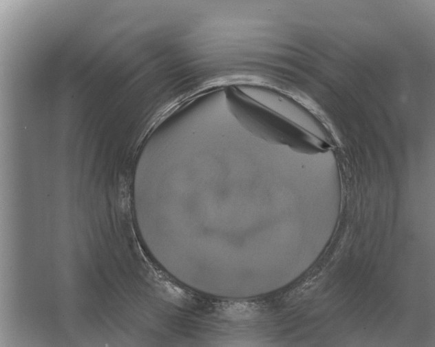 X0000066530945200604141836