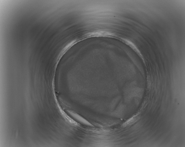 X0000066530946200604141836