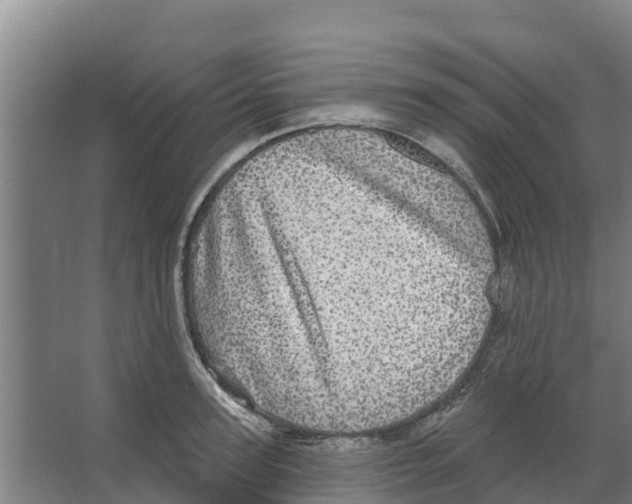 X0000066530947200604141836