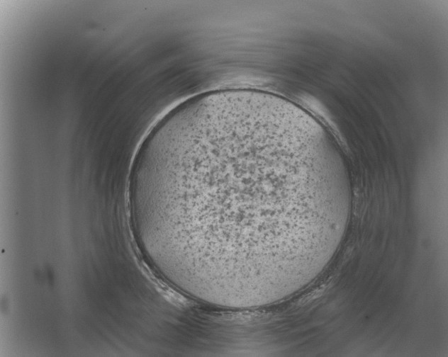 X0000066530948200604141836