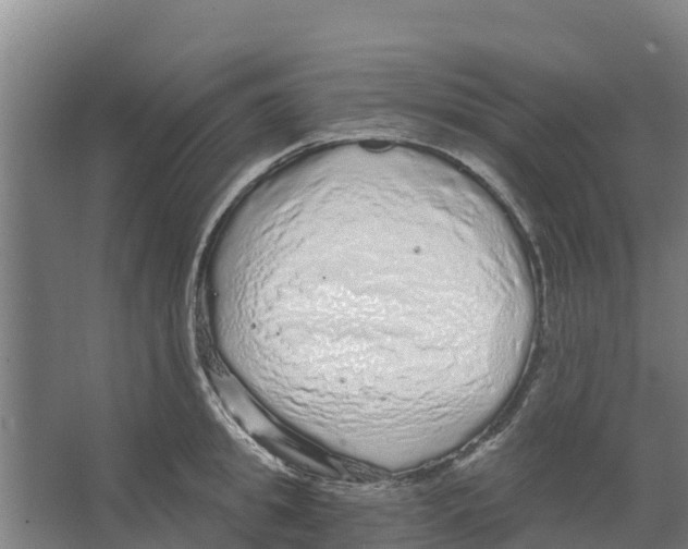 X0000066530949200604141836