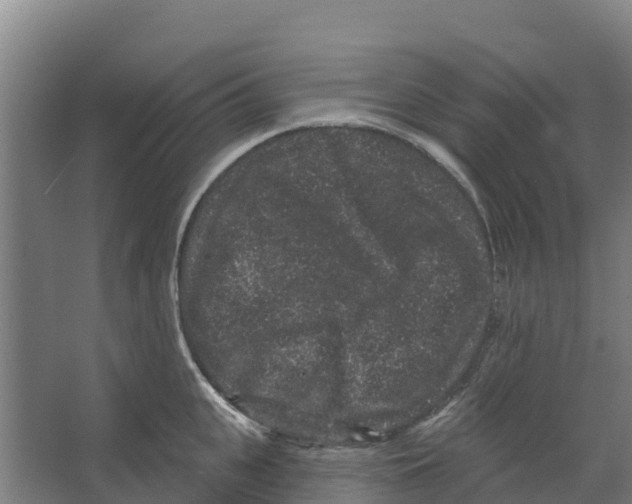 X0000066530951200604141836