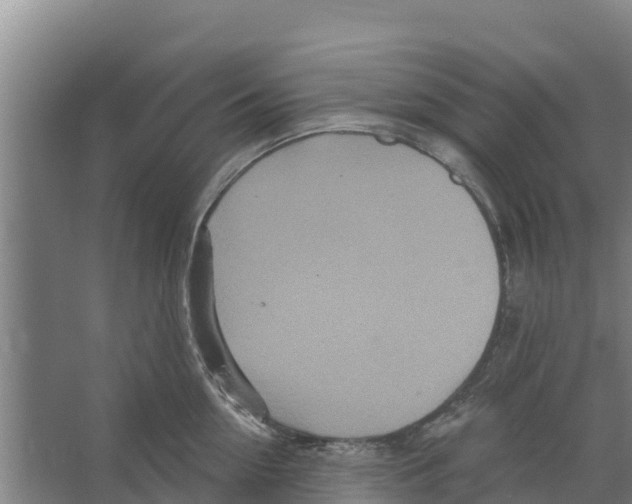 X0000066530954200604141836