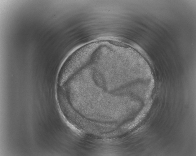 X0000066530955200604141836