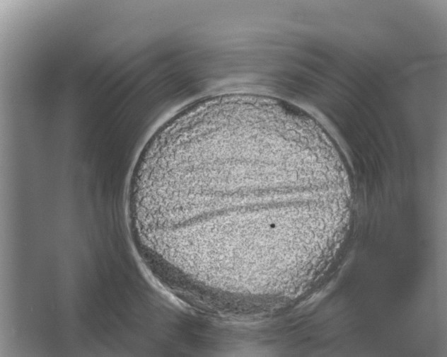 X0000066530957200604141836