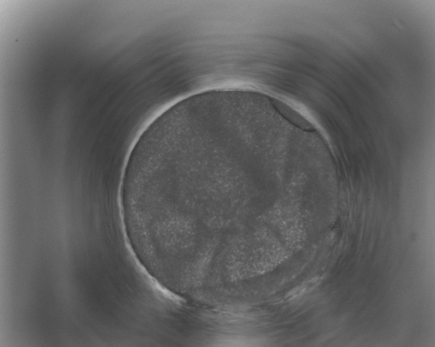 X0000066530959200604141836