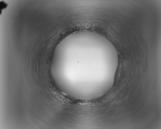 X0000066530961200604141835