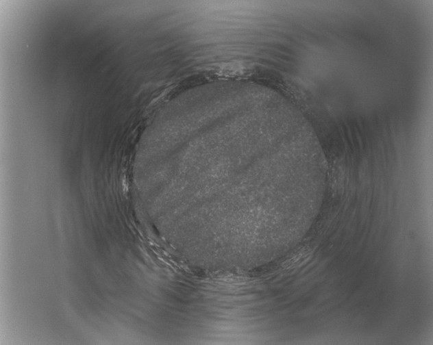 X0000066530962200604141835