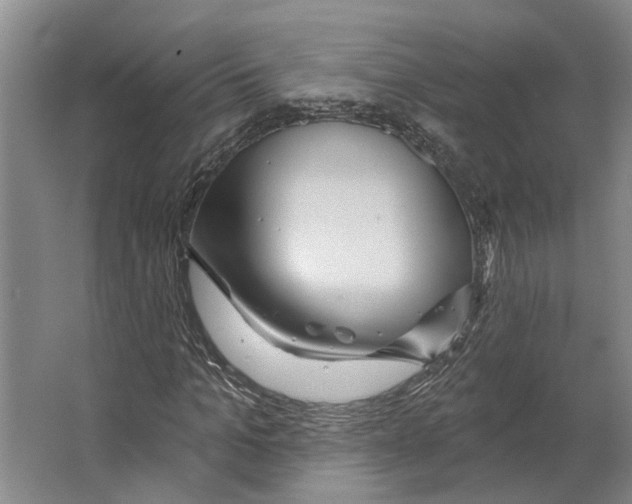 X0000066530965200604141835