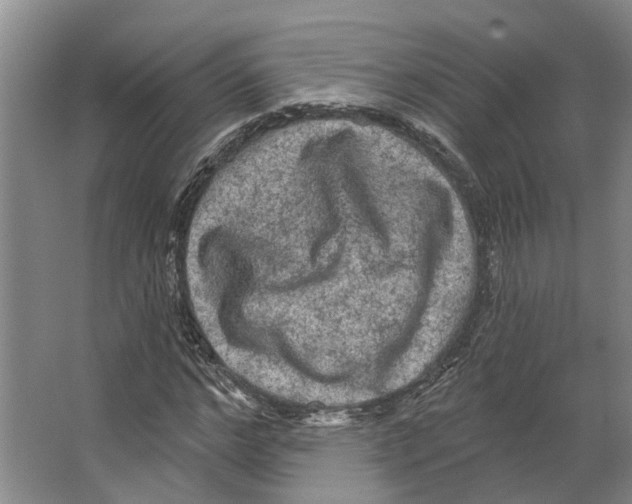 X0000066530968200604141835