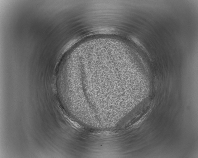 X0000066530970200604141835