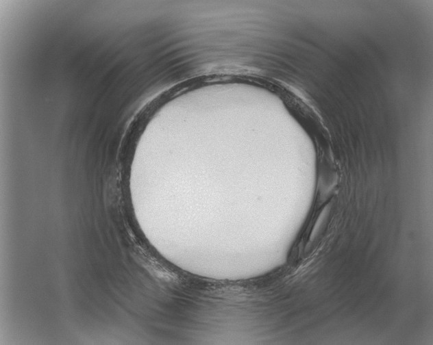 X0000066530971200604141835