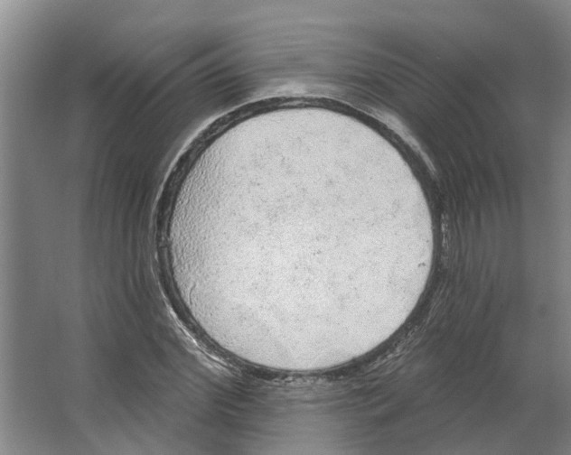 X0000066530972200604141835