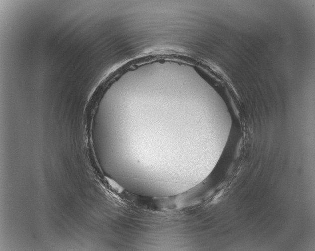 X0000066530973200604141835