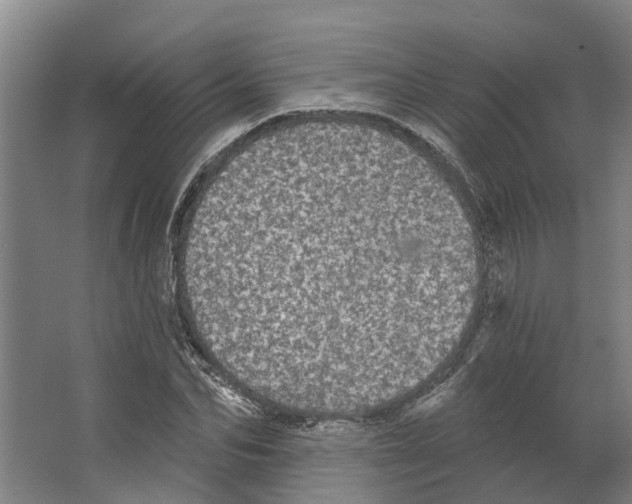 X0000066530974200604141835