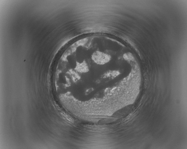 X0000066530975200604141835