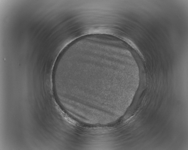 X0000066530980200604141835